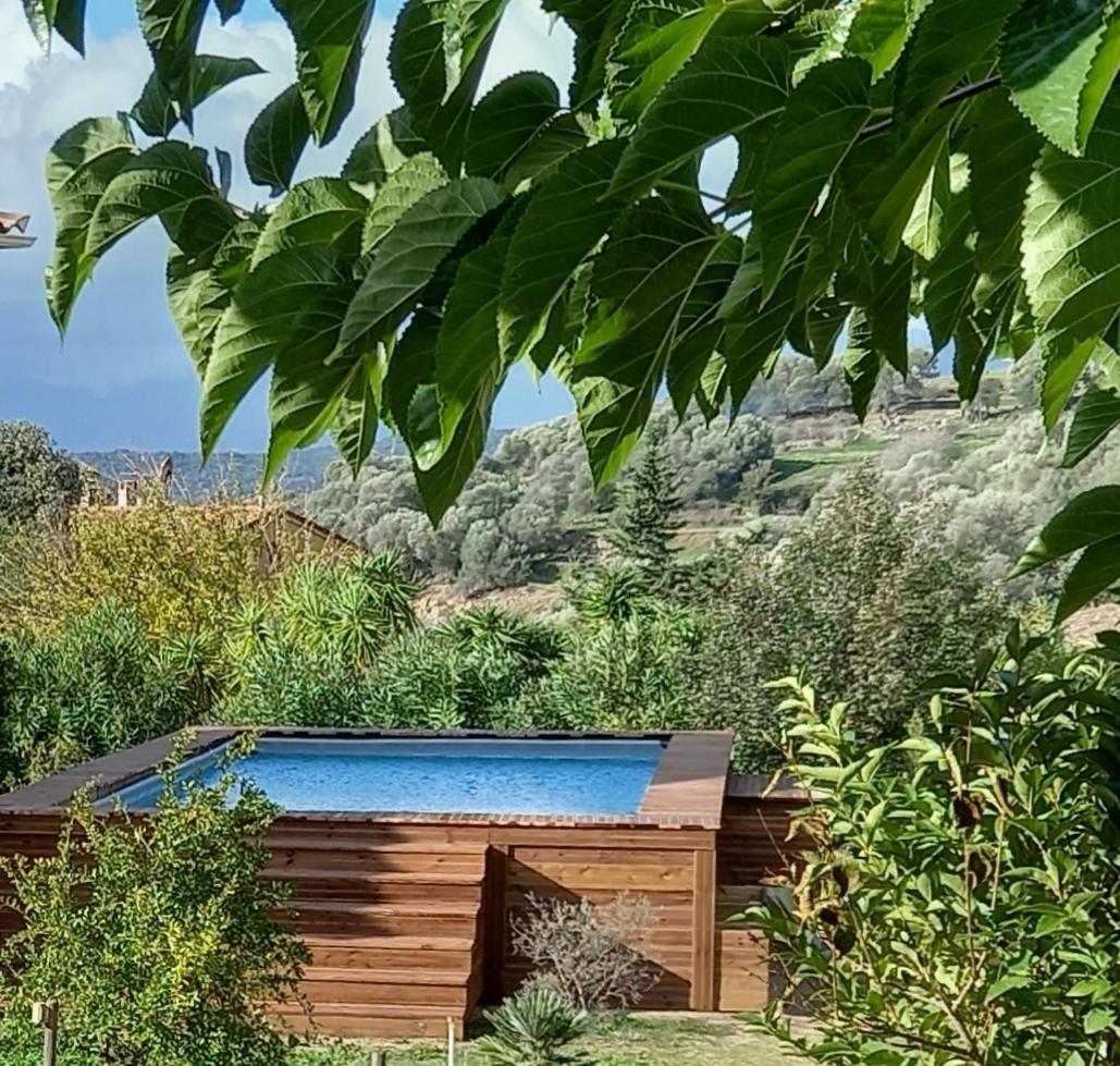 L'Alivu Βίλα Αζάτσιο Εξωτερικό φωτογραφία